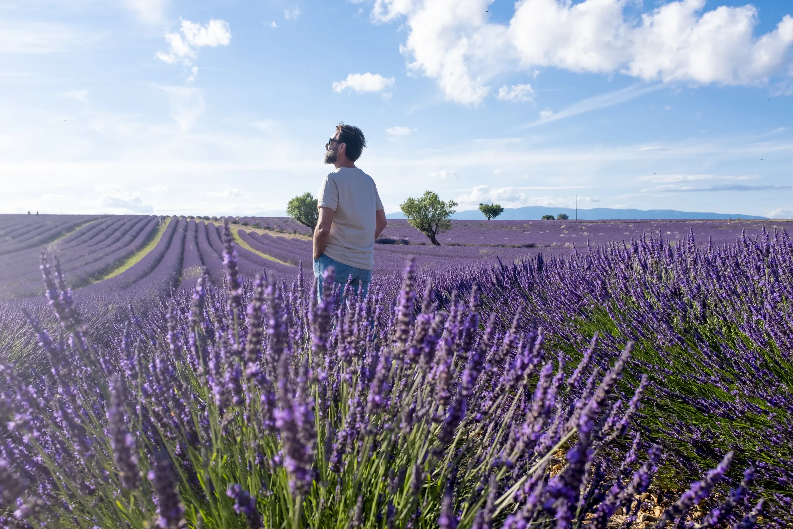 man-tourist-standing-in-the-middle-of-lavender-fie-2022-04-14-16-22-15-utc copie